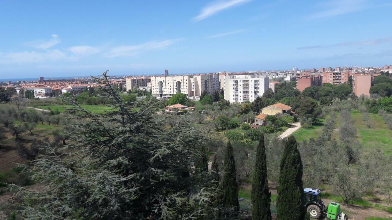 Dolci Ricordi Apartment Livorno Exterior photo